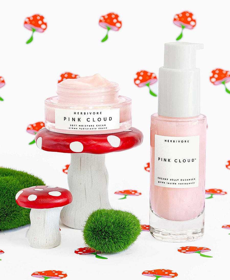 Beauty Herbivore Botanicals Gesichtspflege | Mushroom Magic Plumping Hydration Set