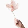 Lifestyle Studio About Raumdekoration | Papierblume Lilien Lily Rosa