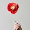 Lifestyle Studio About Raumdekoration | Papierblume Islandmohn Ice Poppy Bright Red / Rot