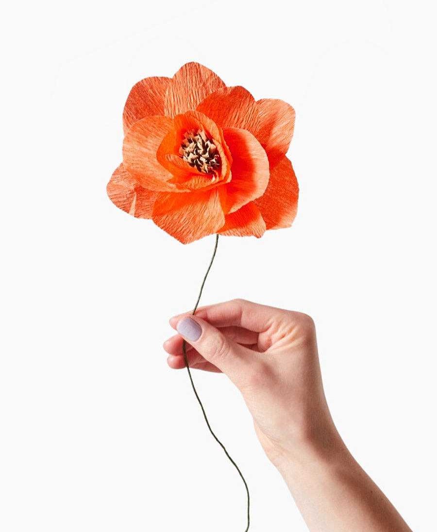 Lifestyle Studio About Raumdekoration | Papierblume Mohn / Poppy Rot